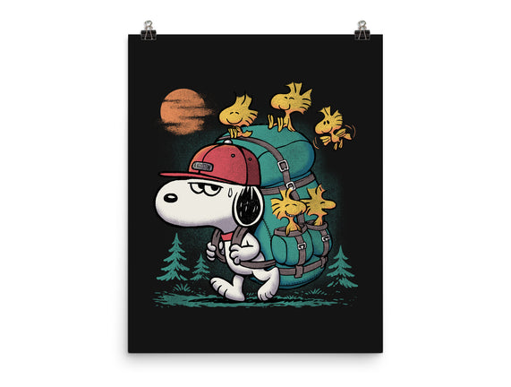 Beagle Hike