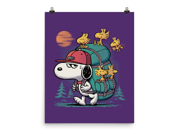 Beagle Hike
