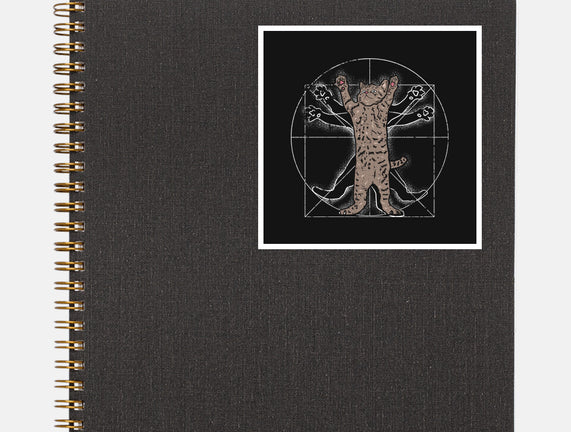 Vitruvian Cat