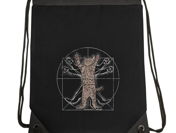 Vitruvian Cat