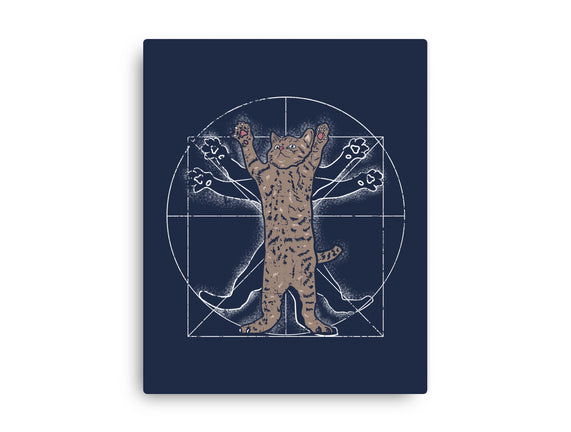 Vitruvian Cat