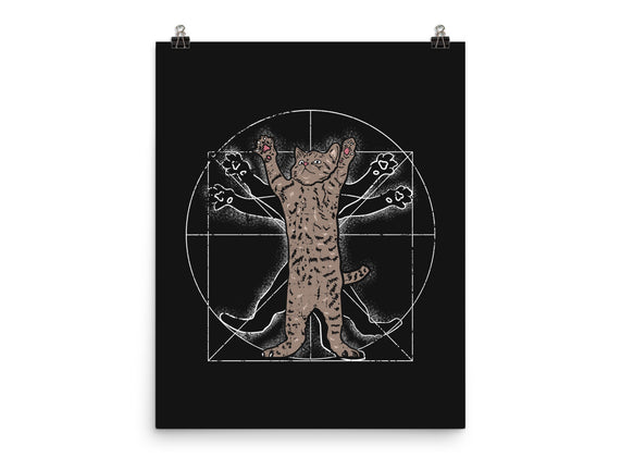 Vitruvian Cat