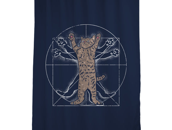 Vitruvian Cat