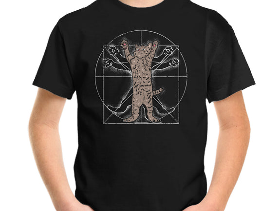 Vitruvian Cat