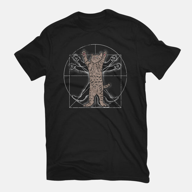 Vitruvian Cat-Mens-Premium-Tee-turborat14