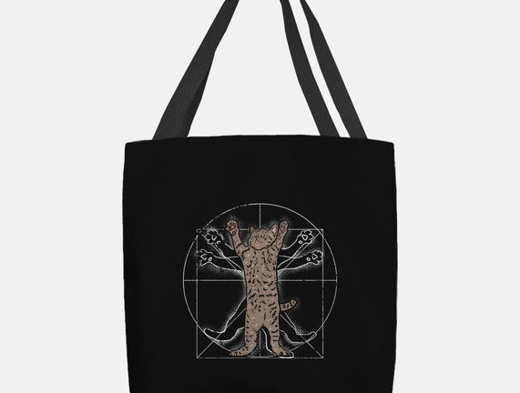 Vitruvian Cat