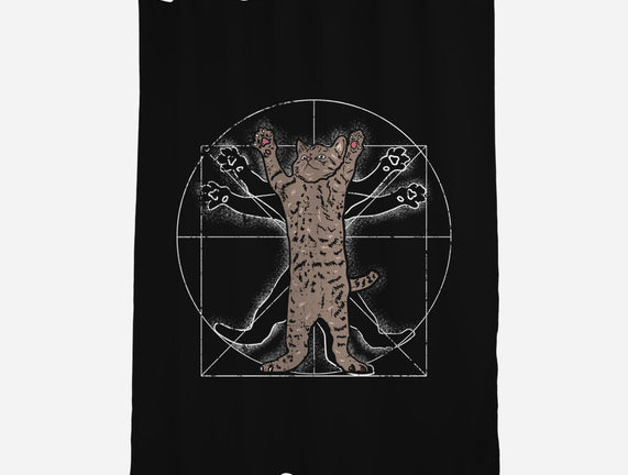Vitruvian Cat