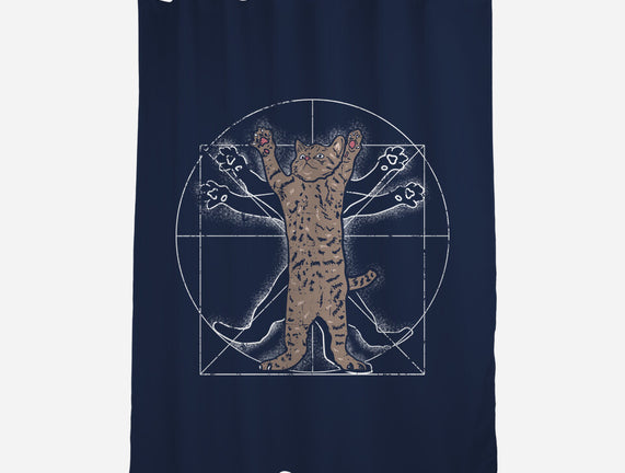 Vitruvian Cat