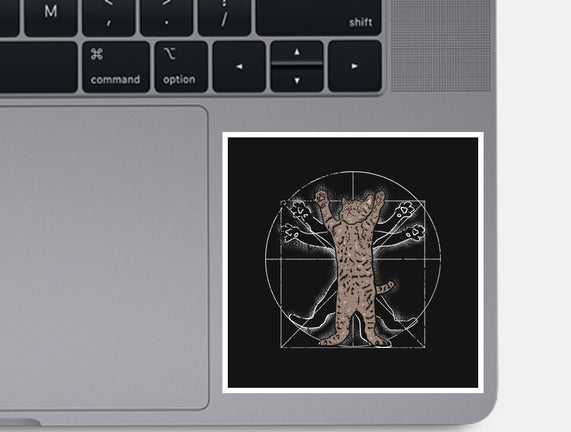 Vitruvian Cat