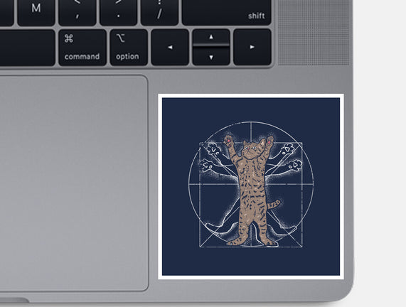 Vitruvian Cat