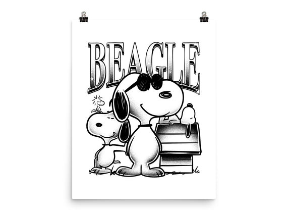 Bootleg Beagle