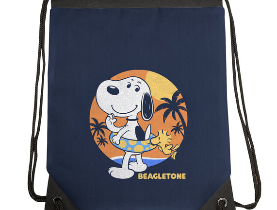 Beagle Sun Block