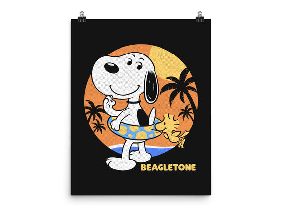 Beagle Sun Block