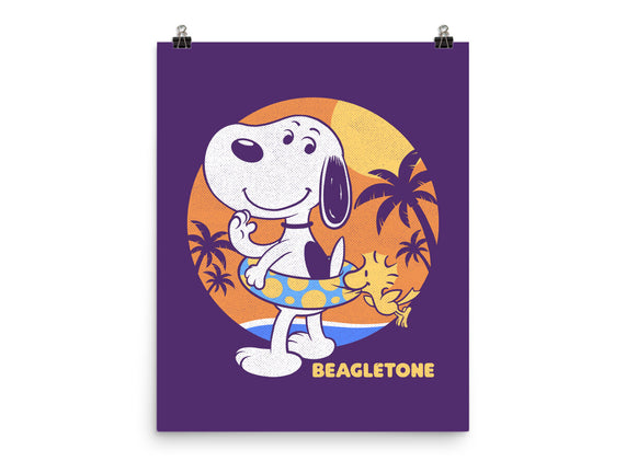 Beagle Sun Block