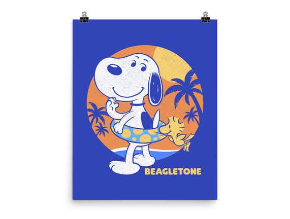 Beagle Sun Block