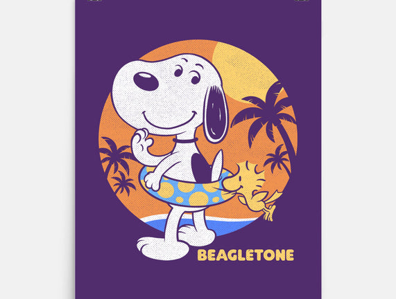 Beagle Sun Block