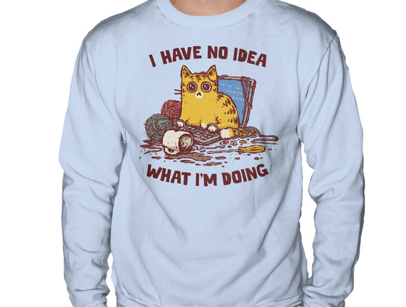 I Have No Idea What I Am Doing