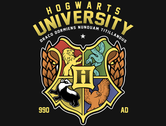 Hogwarts University