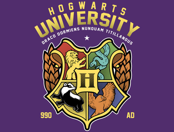 Hogwarts University