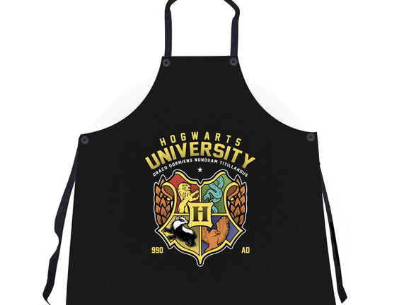 Hogwarts University