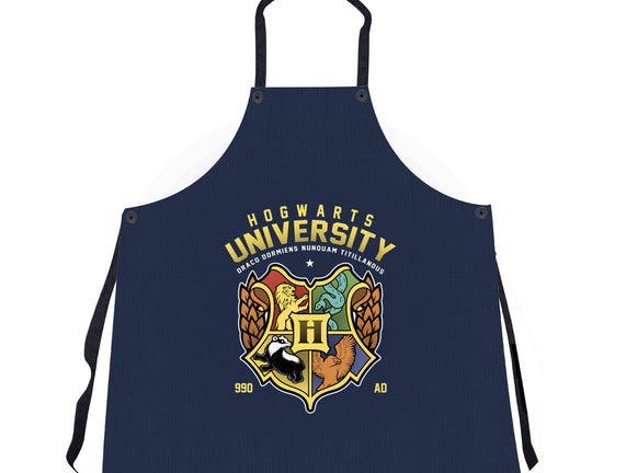 Hogwarts University
