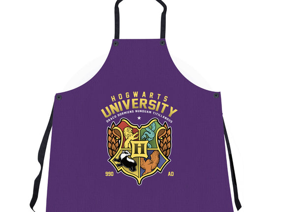 Hogwarts University