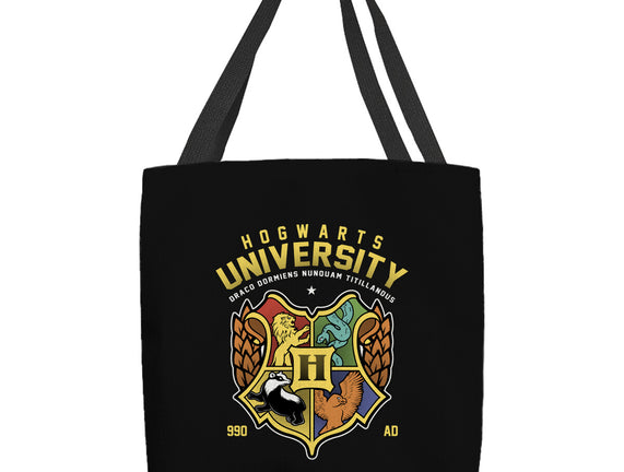 Hogwarts University