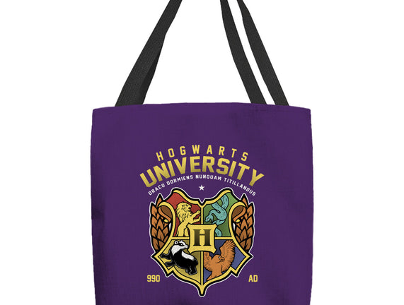 Hogwarts University