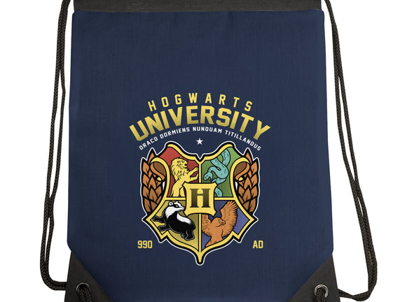 Hogwarts University