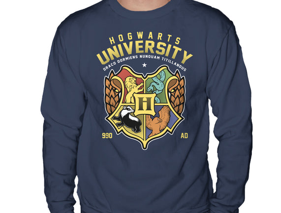 Hogwarts University
