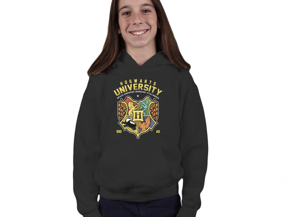 Hogwarts University