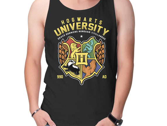 Hogwarts University