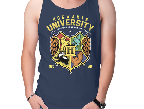 Hogwarts University