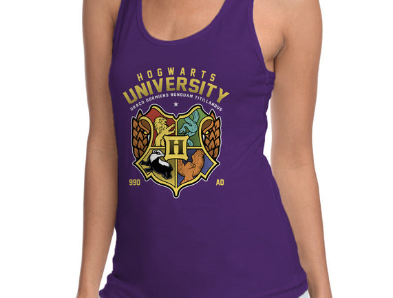 Hogwarts University