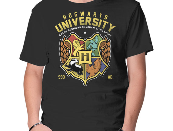 Hogwarts University