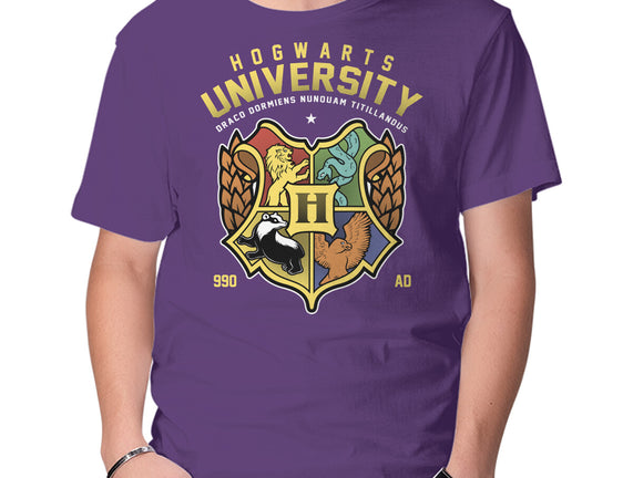 Hogwarts University