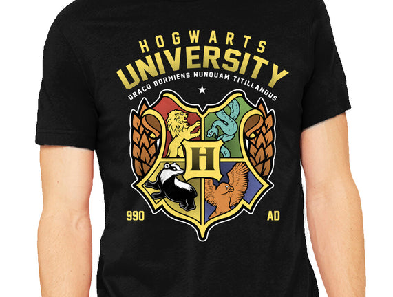 Hogwarts University