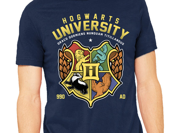 Hogwarts University