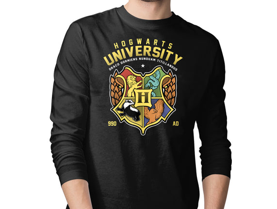 Hogwarts University