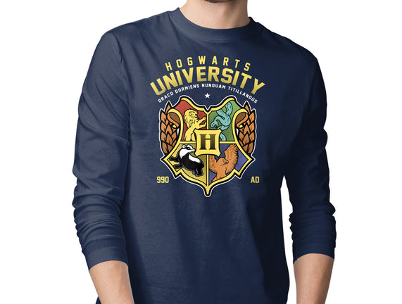 Hogwarts University