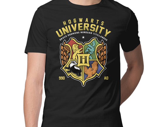 Hogwarts University