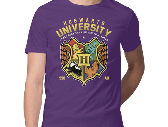 Hogwarts University