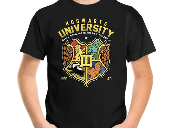 Hogwarts University