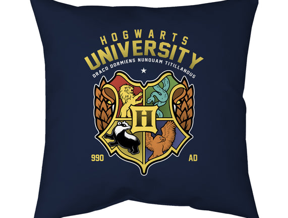 Hogwarts University