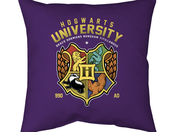 Hogwarts University