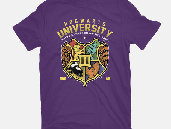 Hogwarts University