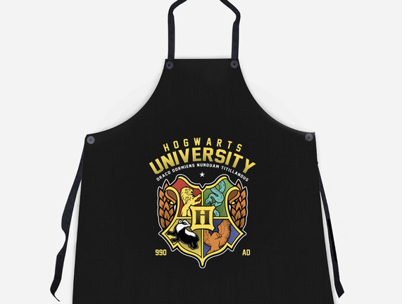 Hogwarts University