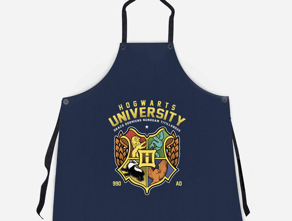 Hogwarts University