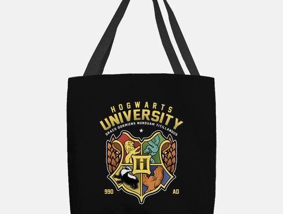 Hogwarts University