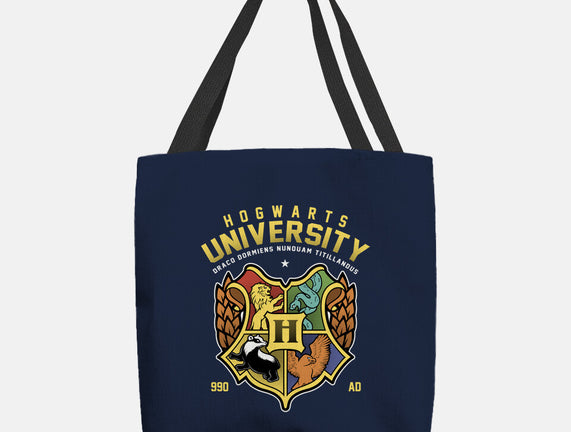 Hogwarts University
